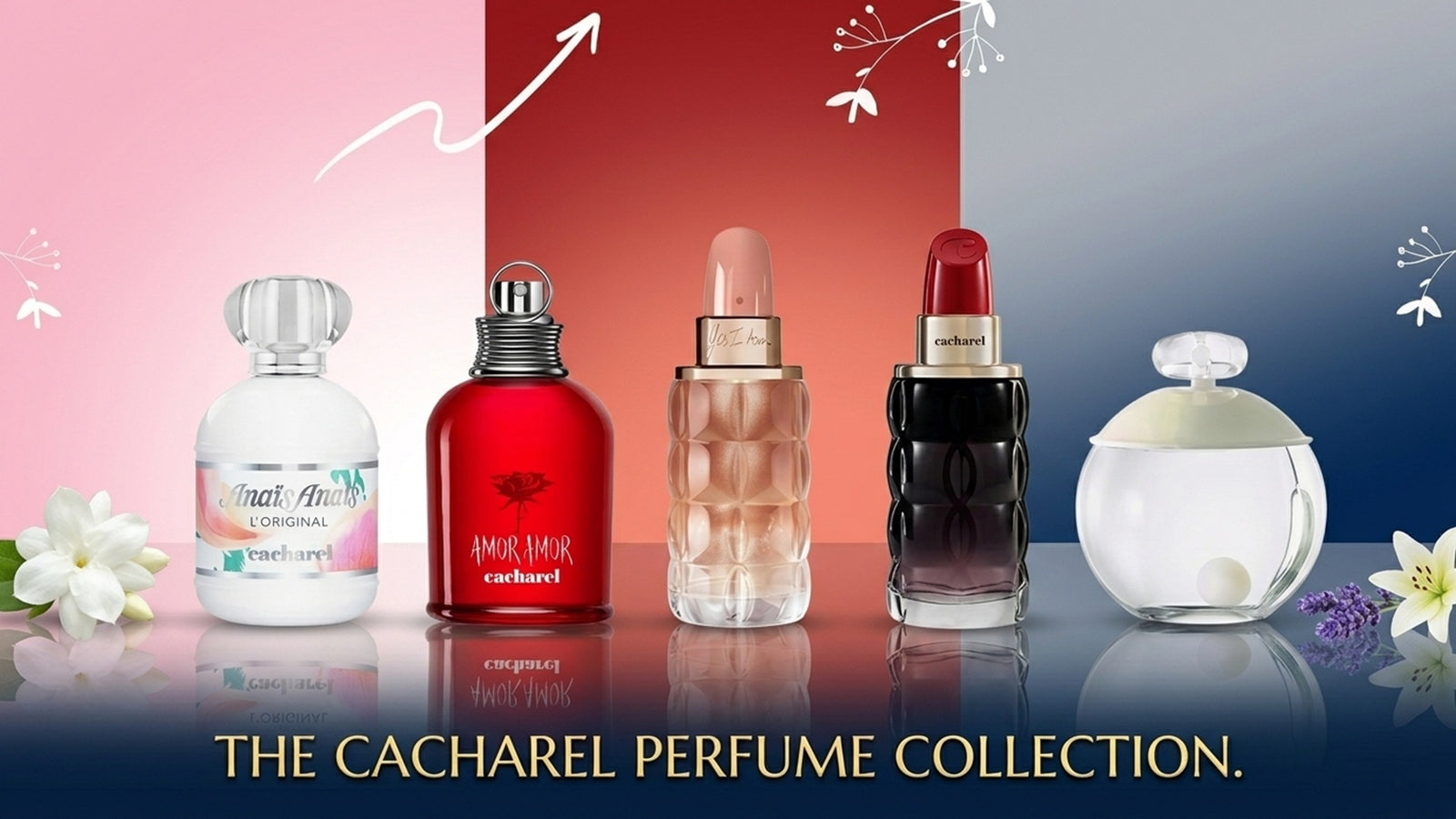 Cacharel perfume collection featuring premium fragrances and signature scents
